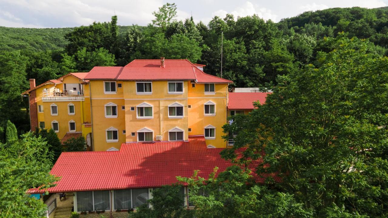 Aida Hotel Spa & Tratament Geoagiu Băi Εξωτερικό φωτογραφία