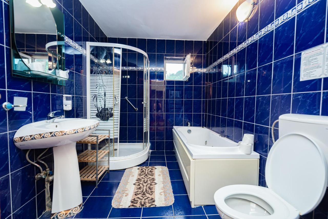 Aida Hotel Spa & Tratament Geoagiu Băi Εξωτερικό φωτογραφία