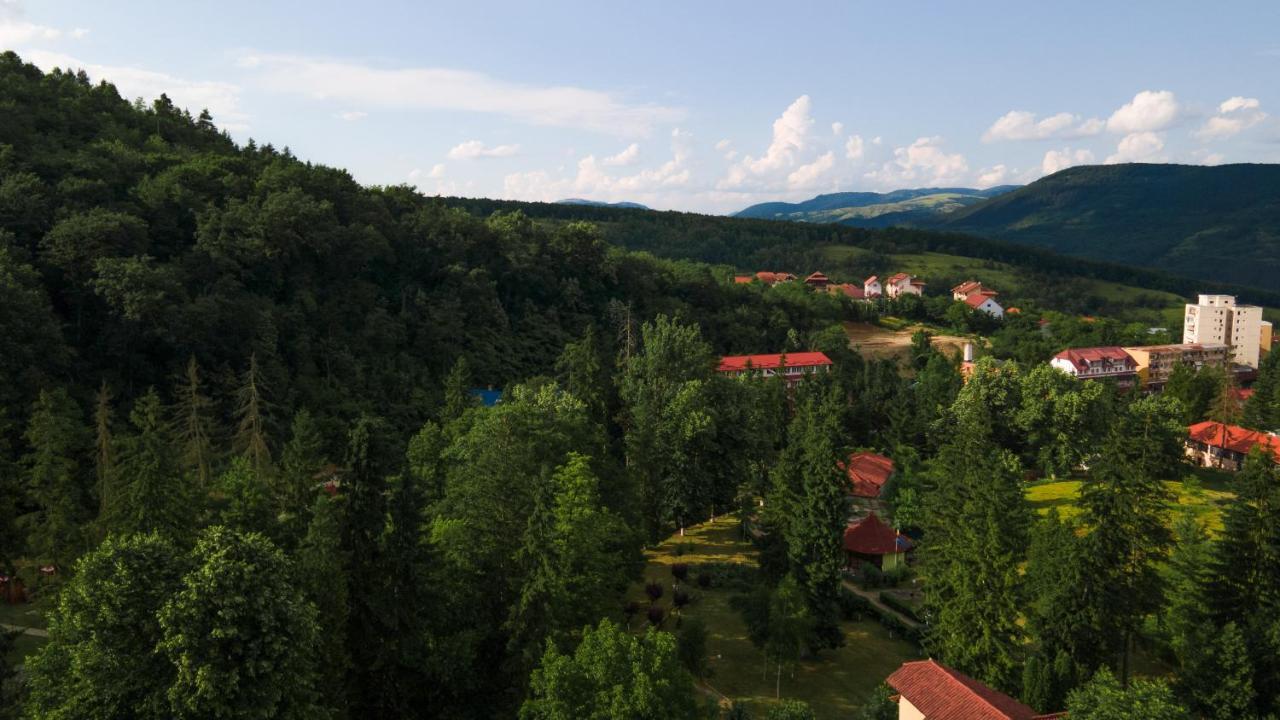 Aida Hotel Spa & Tratament Geoagiu Băi Εξωτερικό φωτογραφία