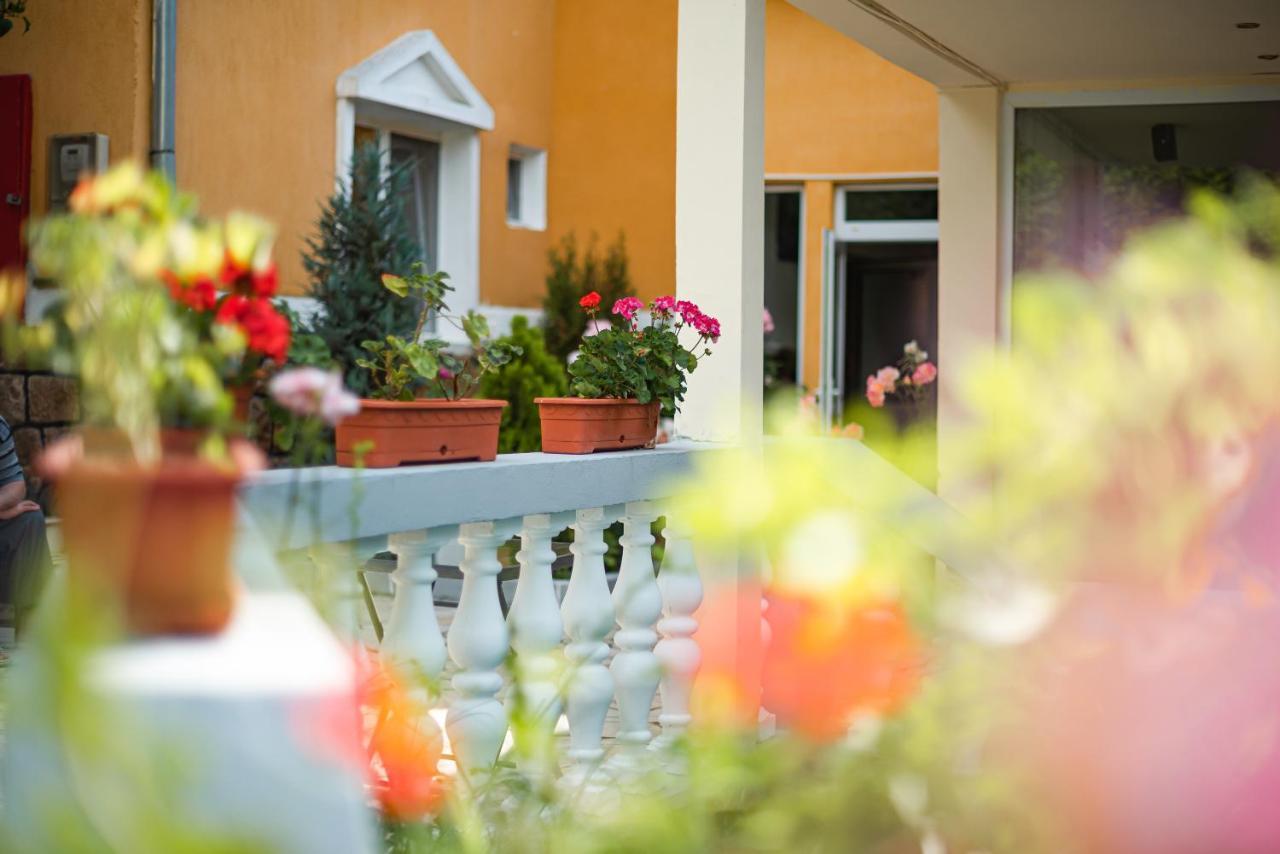 Aida Hotel Spa & Tratament Geoagiu Băi Εξωτερικό φωτογραφία