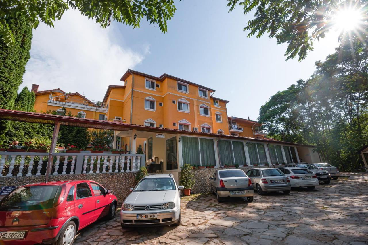 Aida Hotel Spa & Tratament Geoagiu Băi Εξωτερικό φωτογραφία