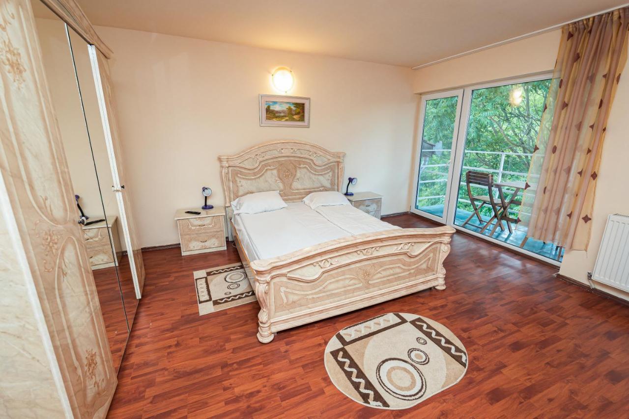 Aida Hotel Spa & Tratament Geoagiu Băi Εξωτερικό φωτογραφία